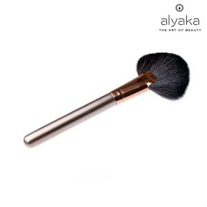 What Are The Types Of Makeup Brushes That Professional