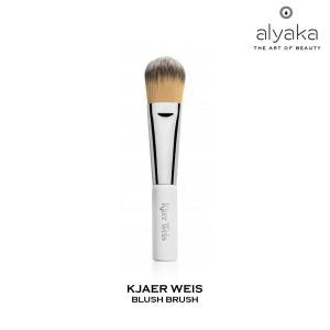 What Are The Types Of Makeup Brushes That Professional