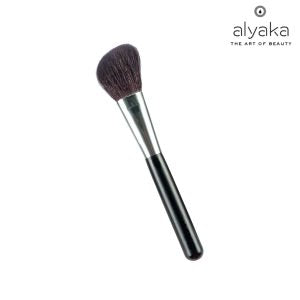 What Are The Types Of Makeup Brushes That Professional