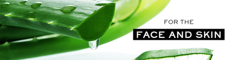 Aloe Vera: The Timeless Beauty Ingredient You Shouldn’T