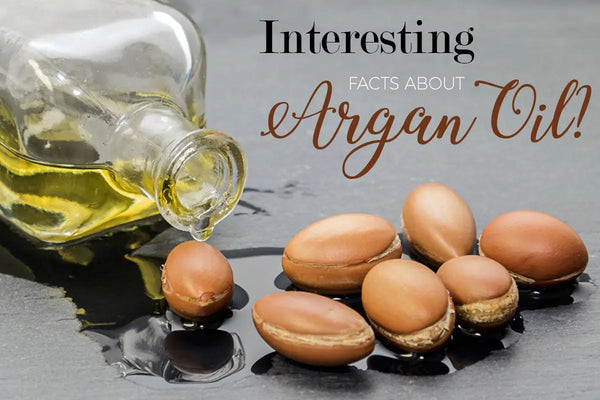 Argan Oil: Uncover The Secrets To Having Beautiful Hair