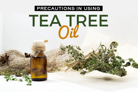 The Life-Changing Benefits Of Tea Tree Oil