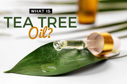 The Life-Changing Benefits Of Tea Tree Oil